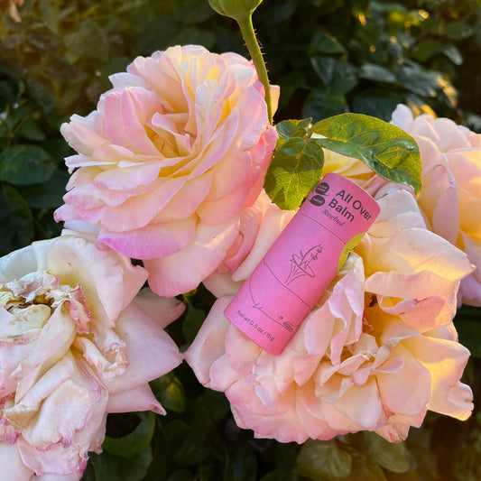 Rosebud Lip+Face Balm