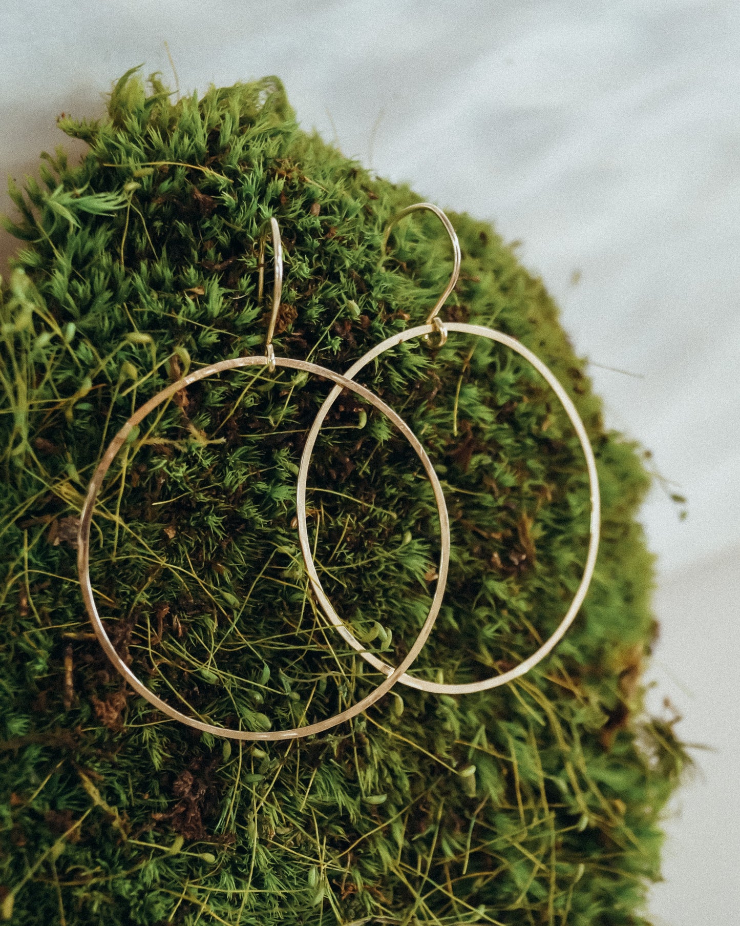 Full Circle Hoop Earrings, Solid 14K Gold, Rose or White Gold
