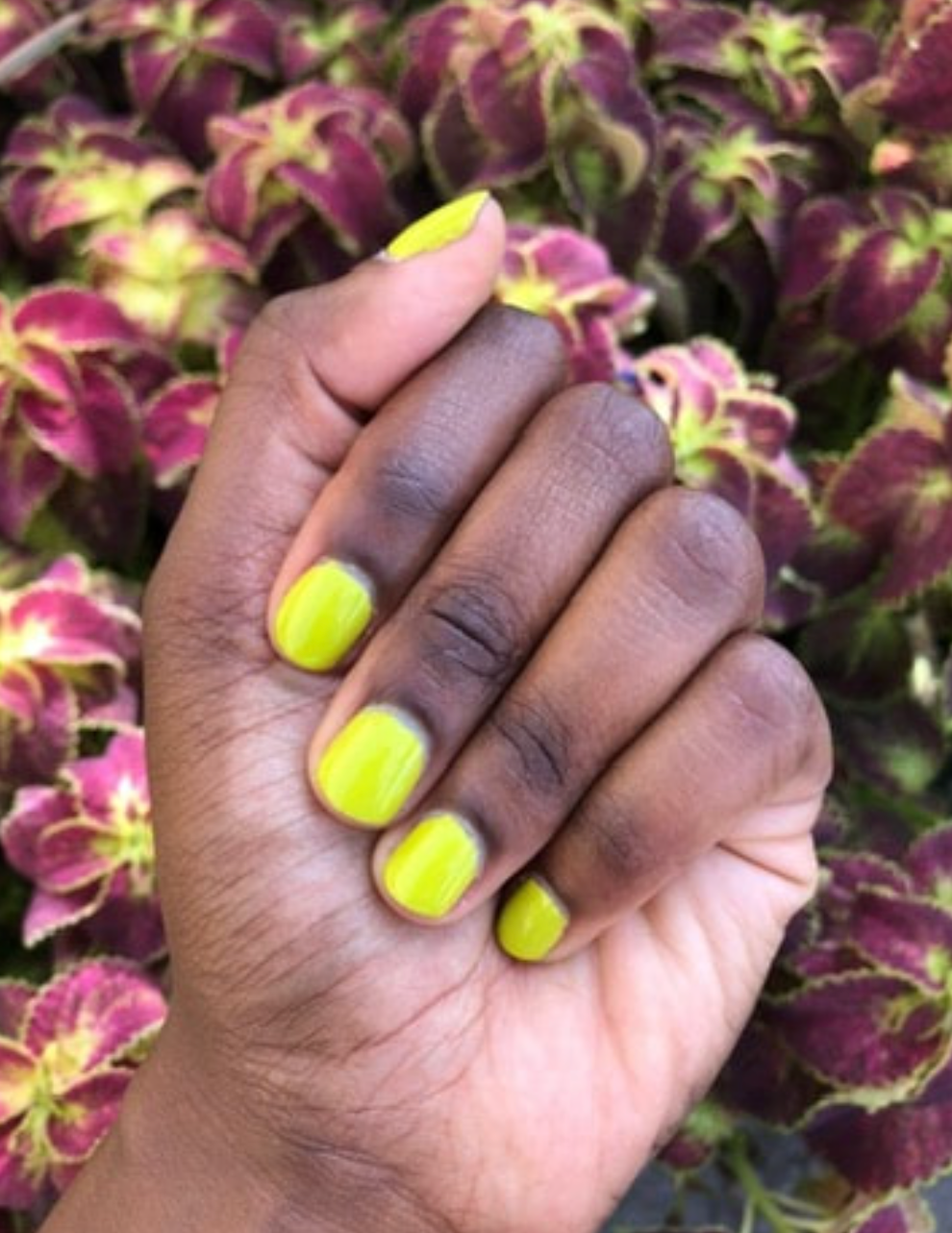 Pistachio Nail Polish