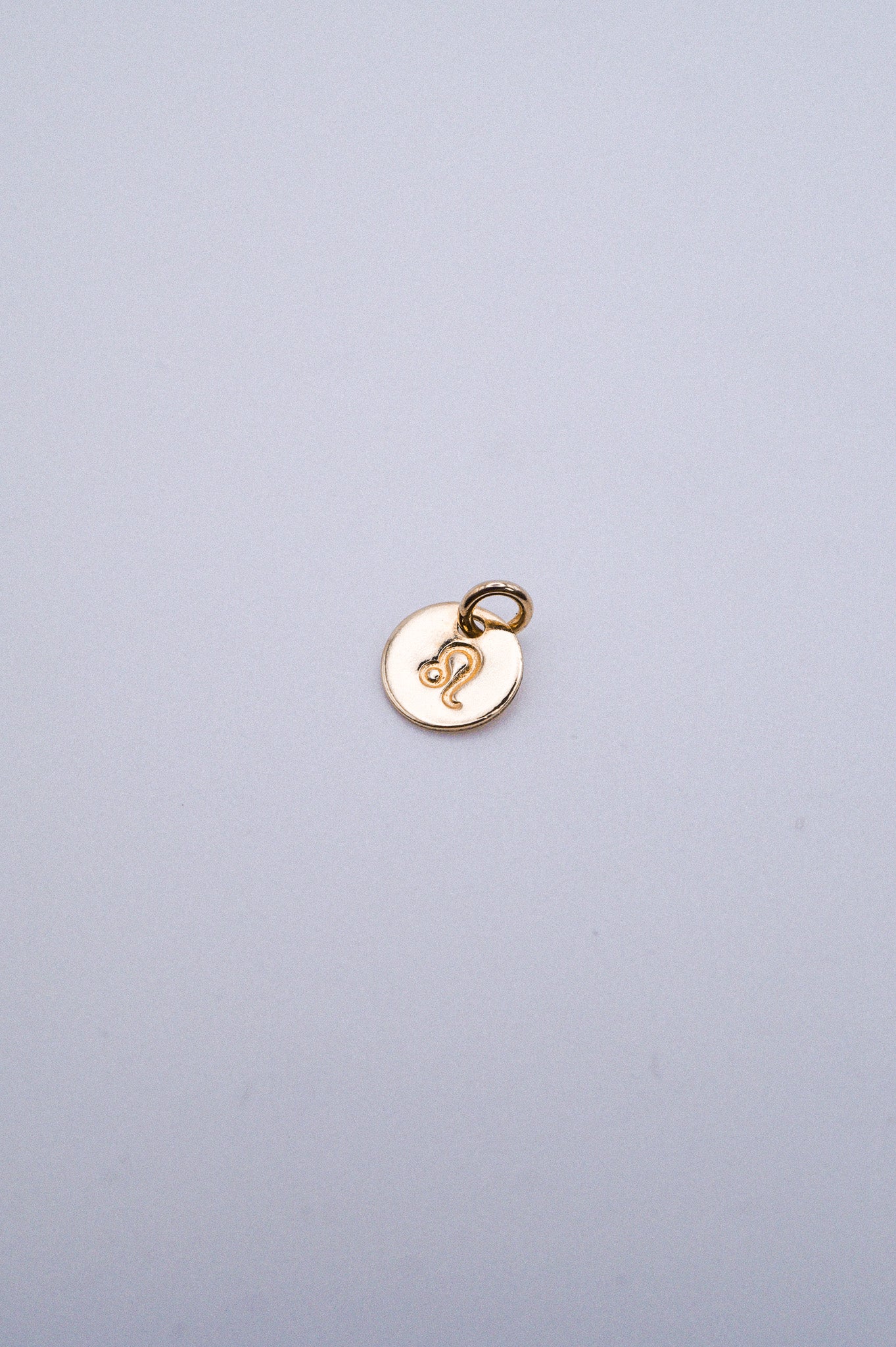 Tiny Zodiac Circle Charm, Solid 14K Gold