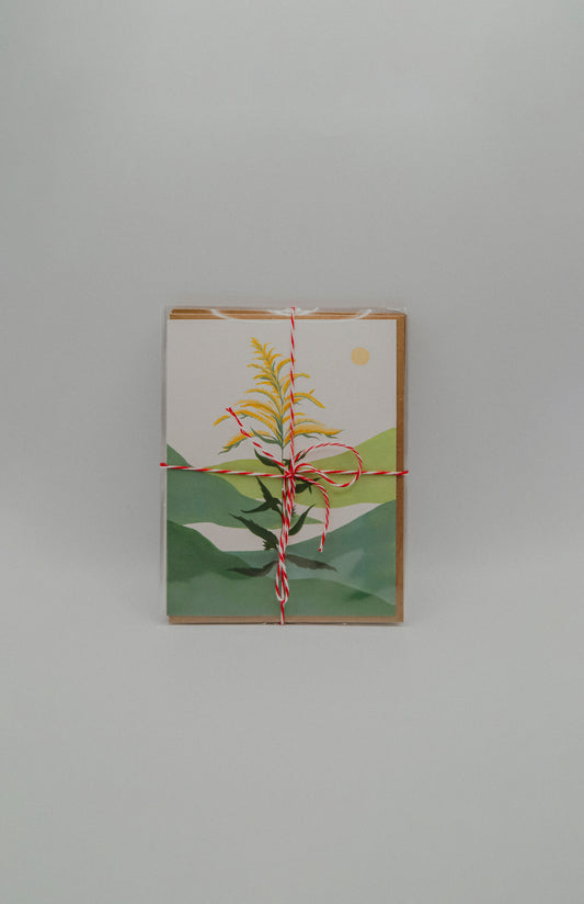 Greeting Card 3-Pack