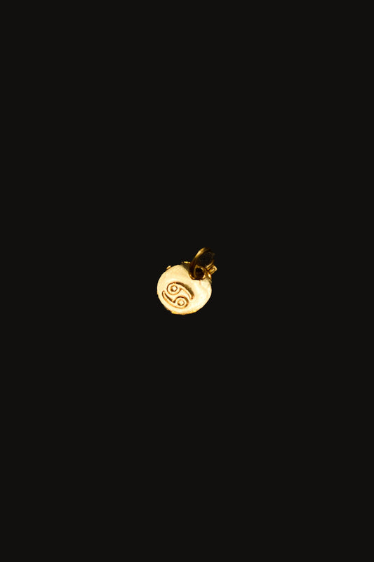 Tiny Zodiac Pendant Charm, Solid 14K Gold
