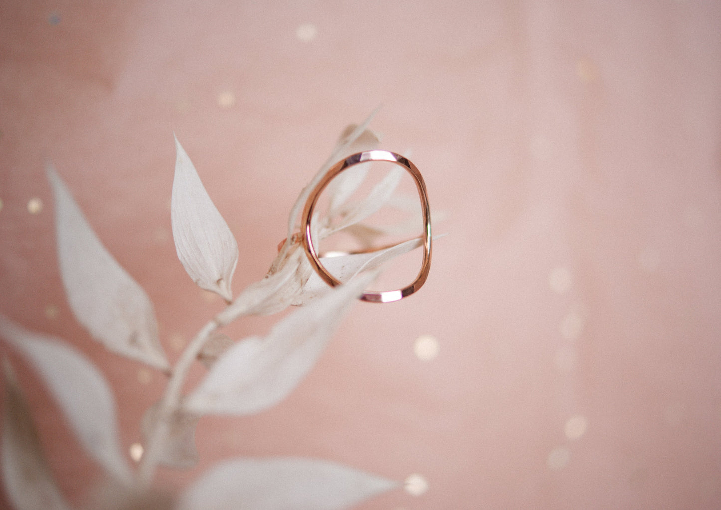 Circle Ring, Solid 14K Rose Gold