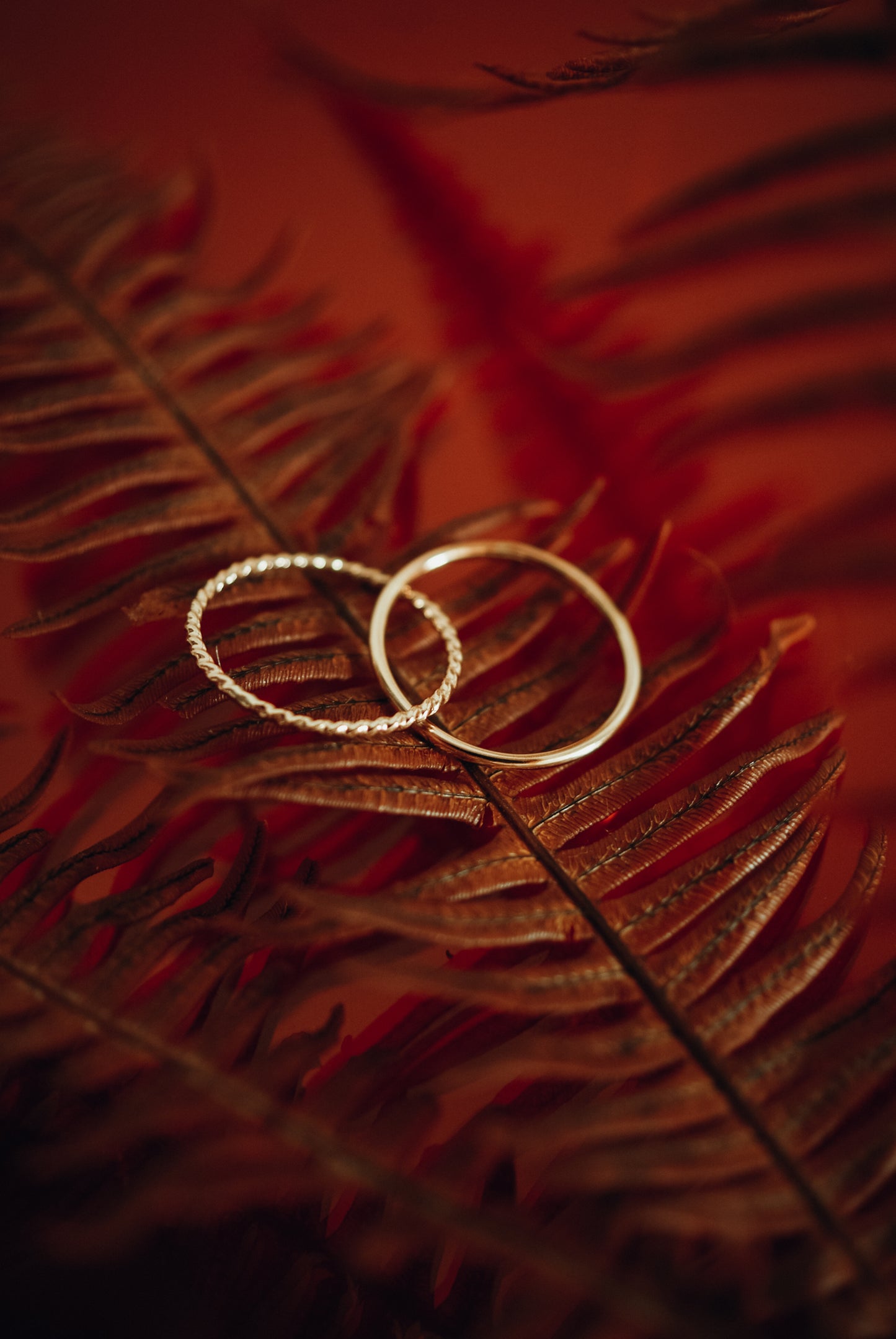 Twist Interlocking Set of 2 Rings, 14K Gold Fill