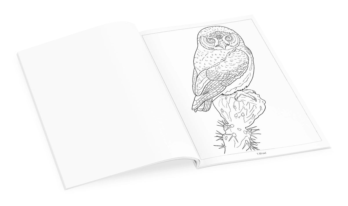 Owls Coloring Book