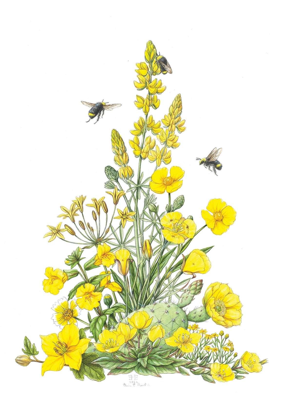 Yellow Bees & Wildflowers Greeting Card