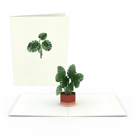 Monstera Botanical Pop Up Card