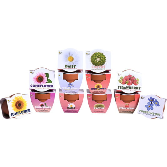 Mini Terracotta Grow Kit