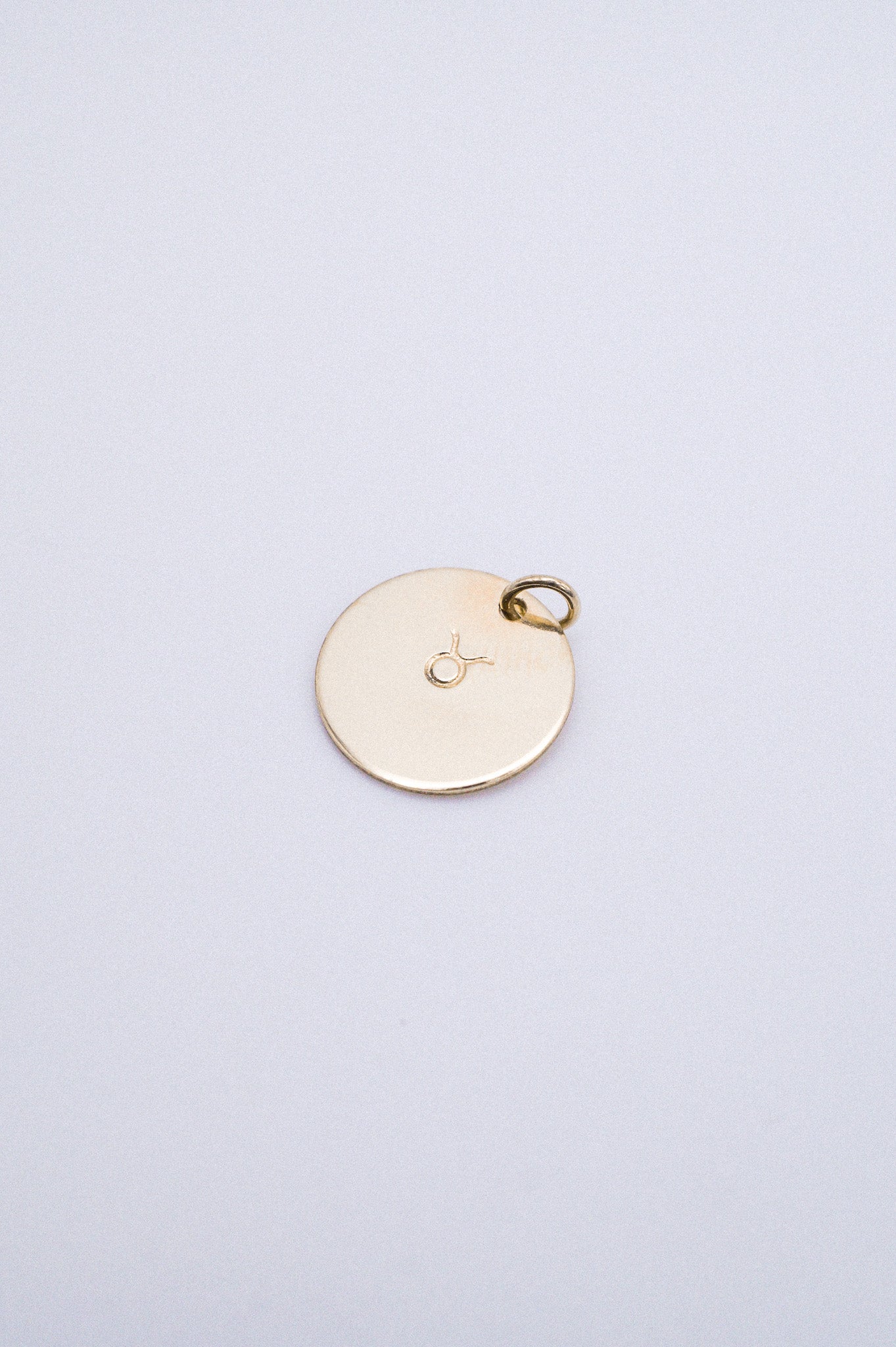 Zodiac Circle Charm, Solid 14K Gold