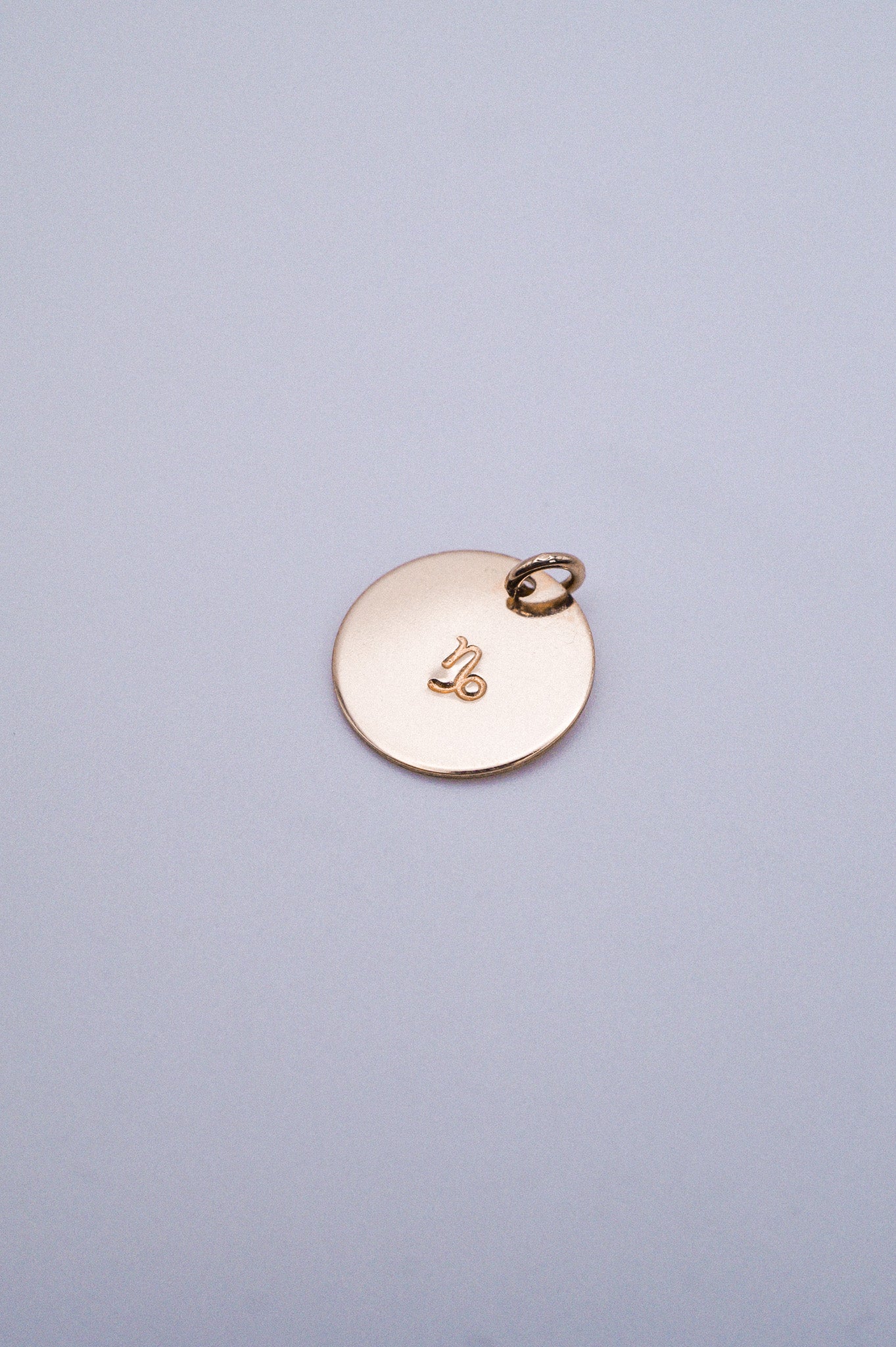 Zodiac Circle Charm, Solid 14K Gold