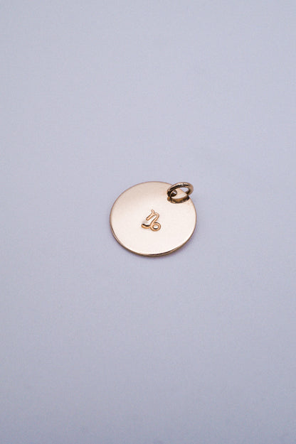 Zodiac Circle Charm, Solid 14K Gold