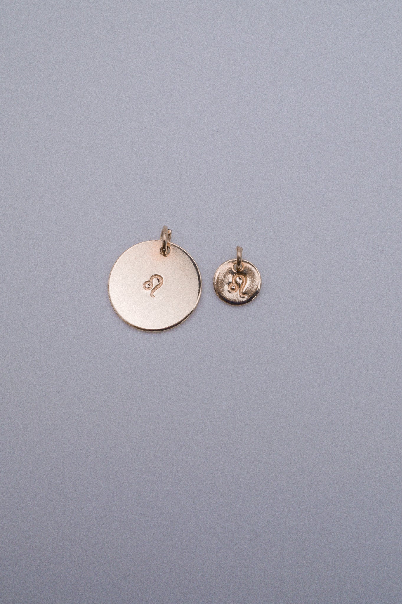 Tiny Zodiac Circle Charm