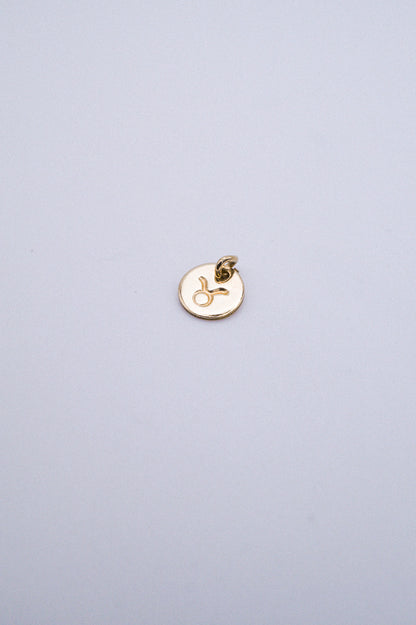 Tiny Zodiac Circle Charm