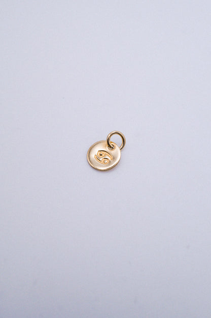 Tiny Zodiac Circle Charm