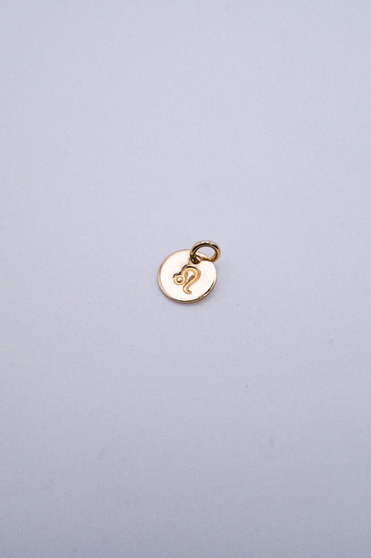 Tiny Zodiac Circle Charm