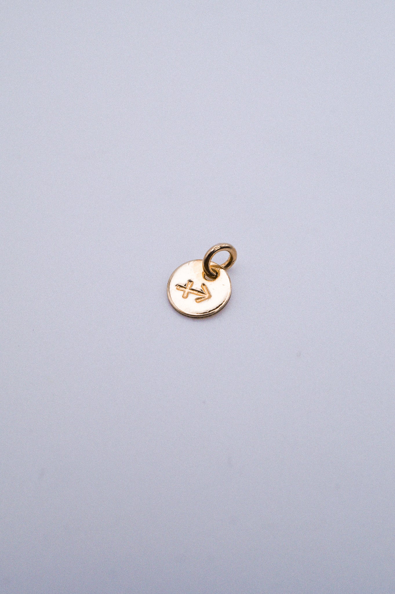 Tiny Zodiac Circle Charm