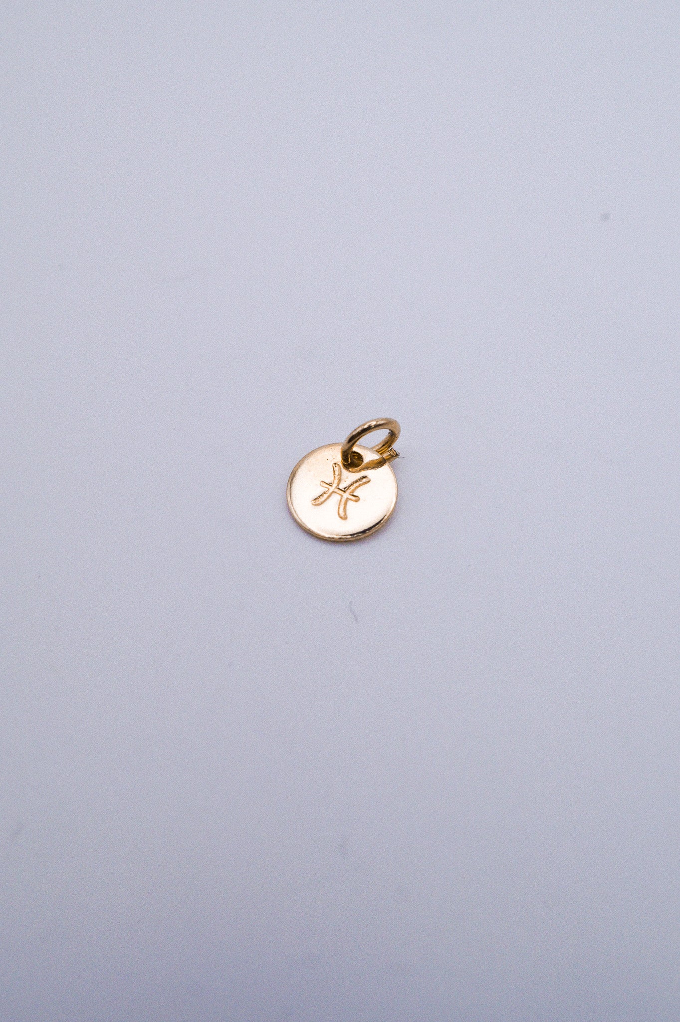 Tiny Zodiac Circle Charm