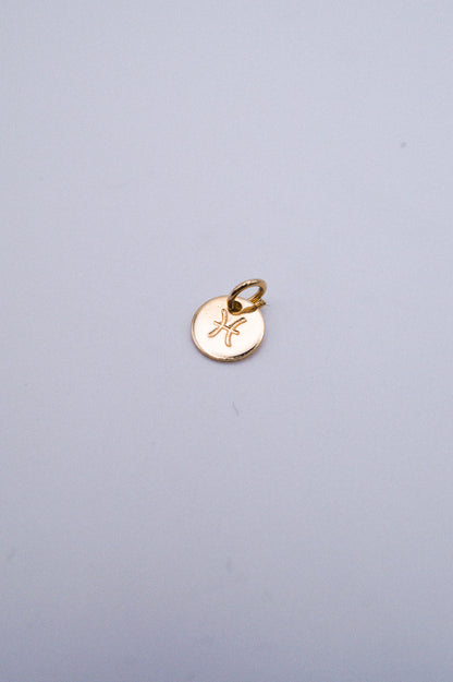 Tiny Zodiac Circle Charm