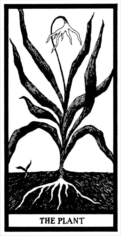 The Fantod Pack | Edward Gorey