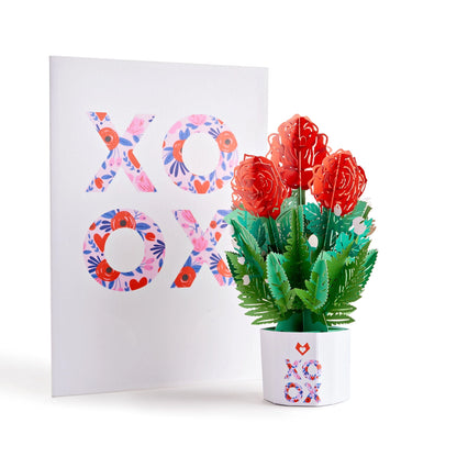 XOXO Pop Up Card