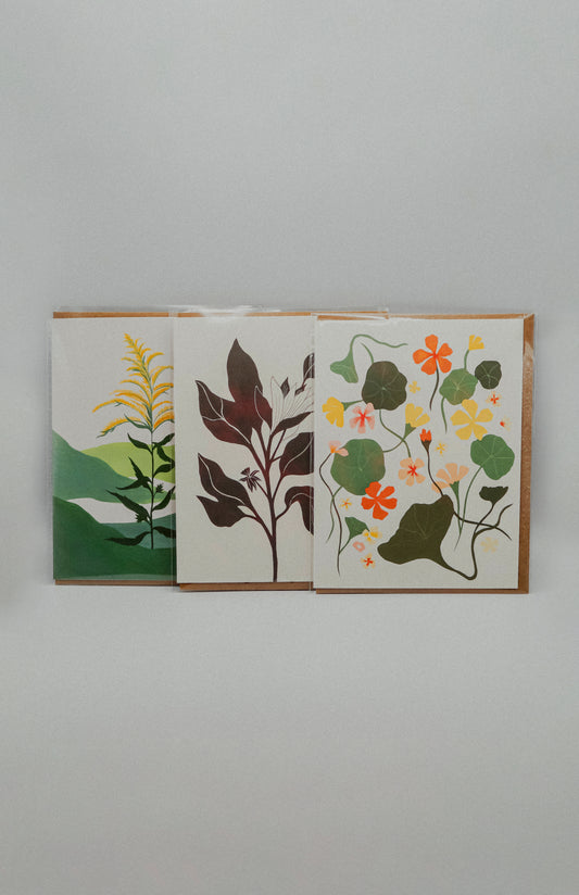 Greeting Card 3-Pack