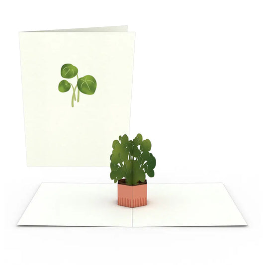 Pothos Botanical Pop Up Card