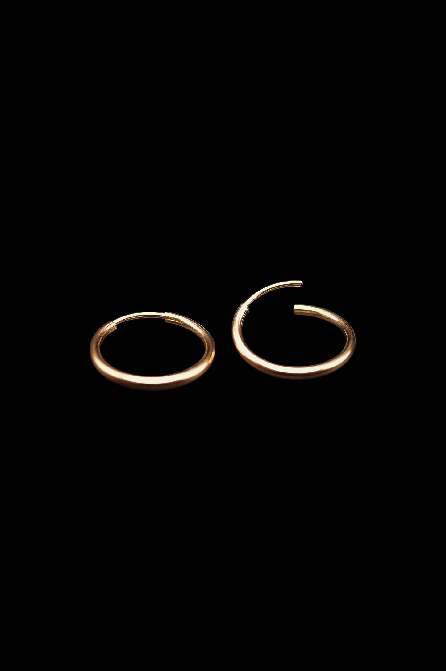 Endless Hoop Earring in 14K Gold Fill