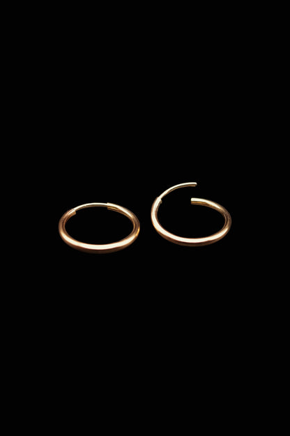 Endless Hoop Earring in 14K Gold Fill