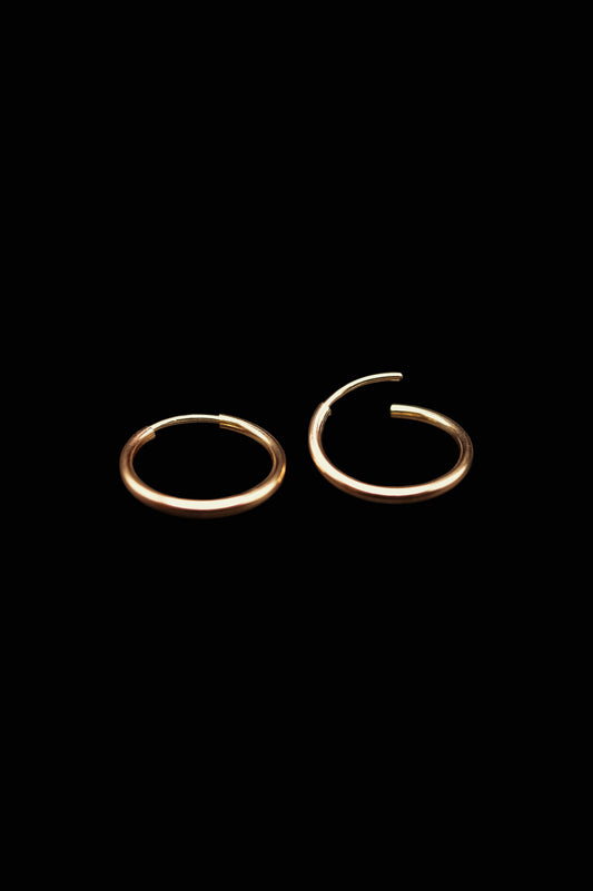 Endless Hoop Earring in 14K Gold Fill