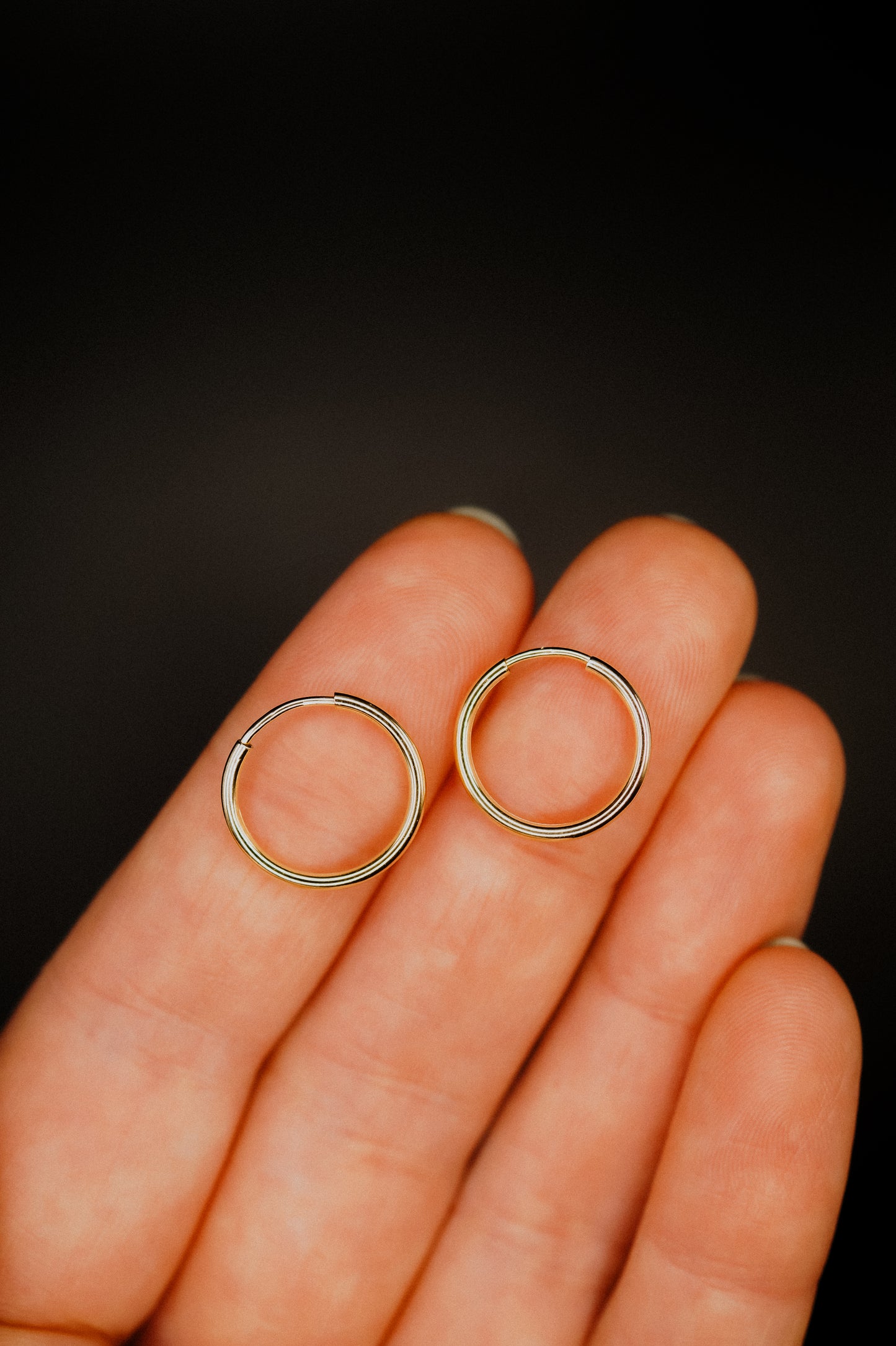 Endless Hoop Earring in 14K Gold Fill