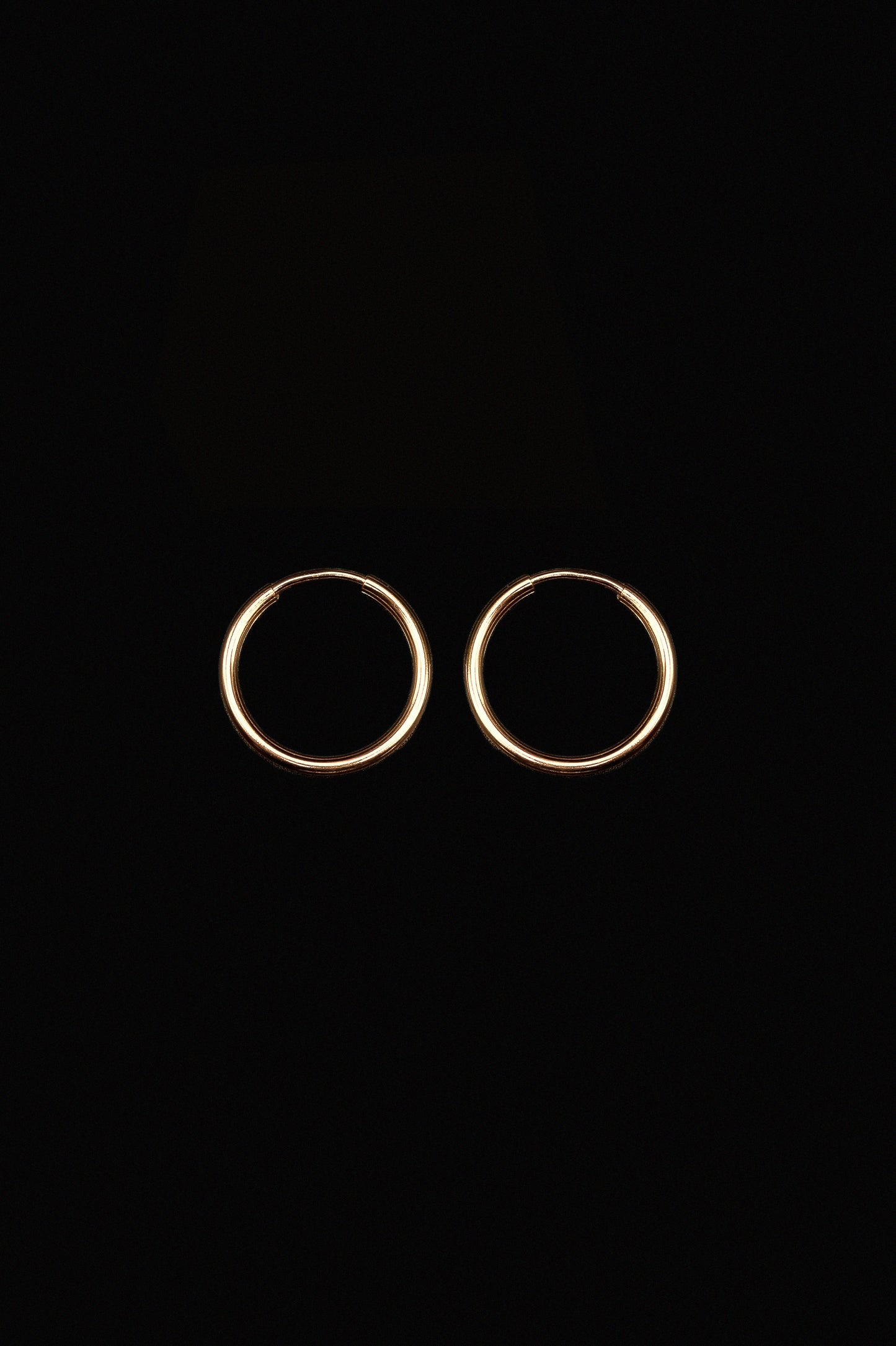 Endless Hoop Earring in 14K Gold Fill