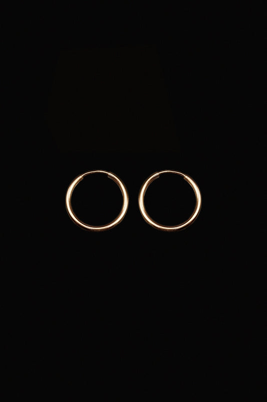 Endless Hoop Earring in 14K Gold Fill