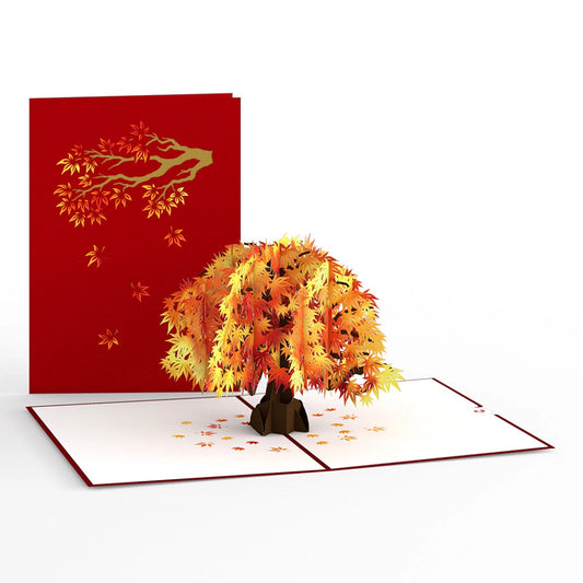 Sugar Maple Tree Pop Up Card