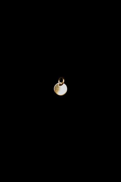 Tiny Circle Charm