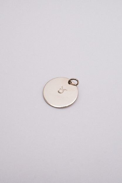 Zodiac Circle Charm
